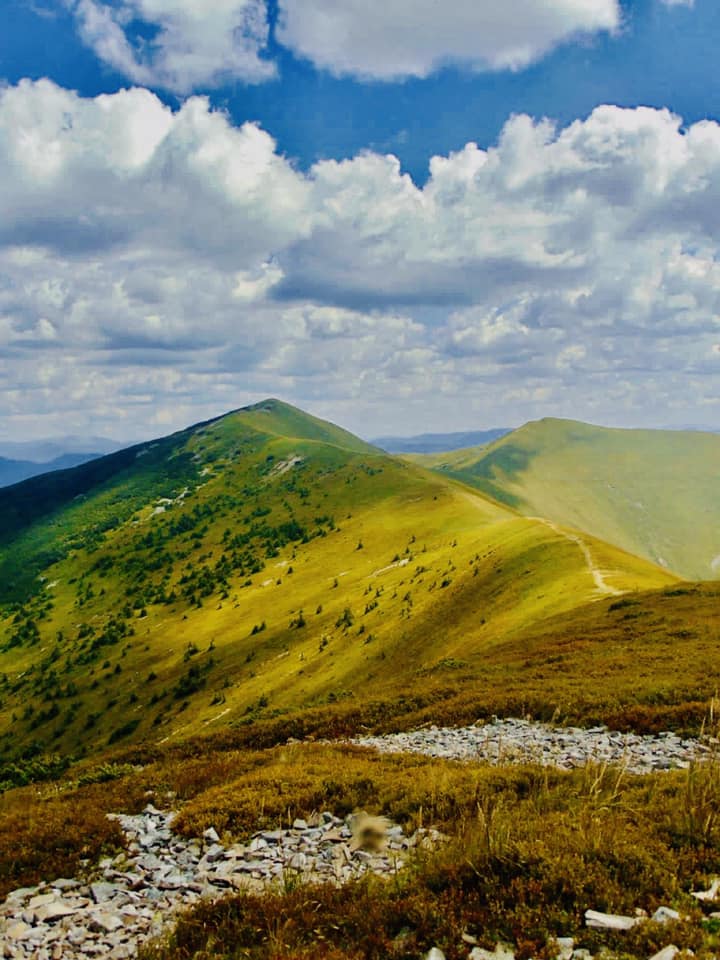 Карпати